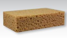 Unbenannthandwerkerschwamm